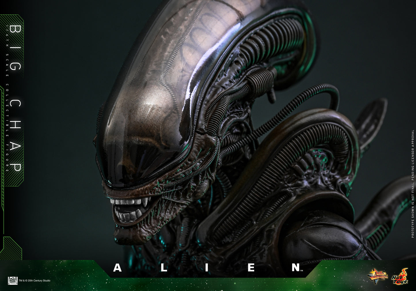 Hot Toys – MMS826 – Alien: Big Chap 1/6th scale Collectible Figure
