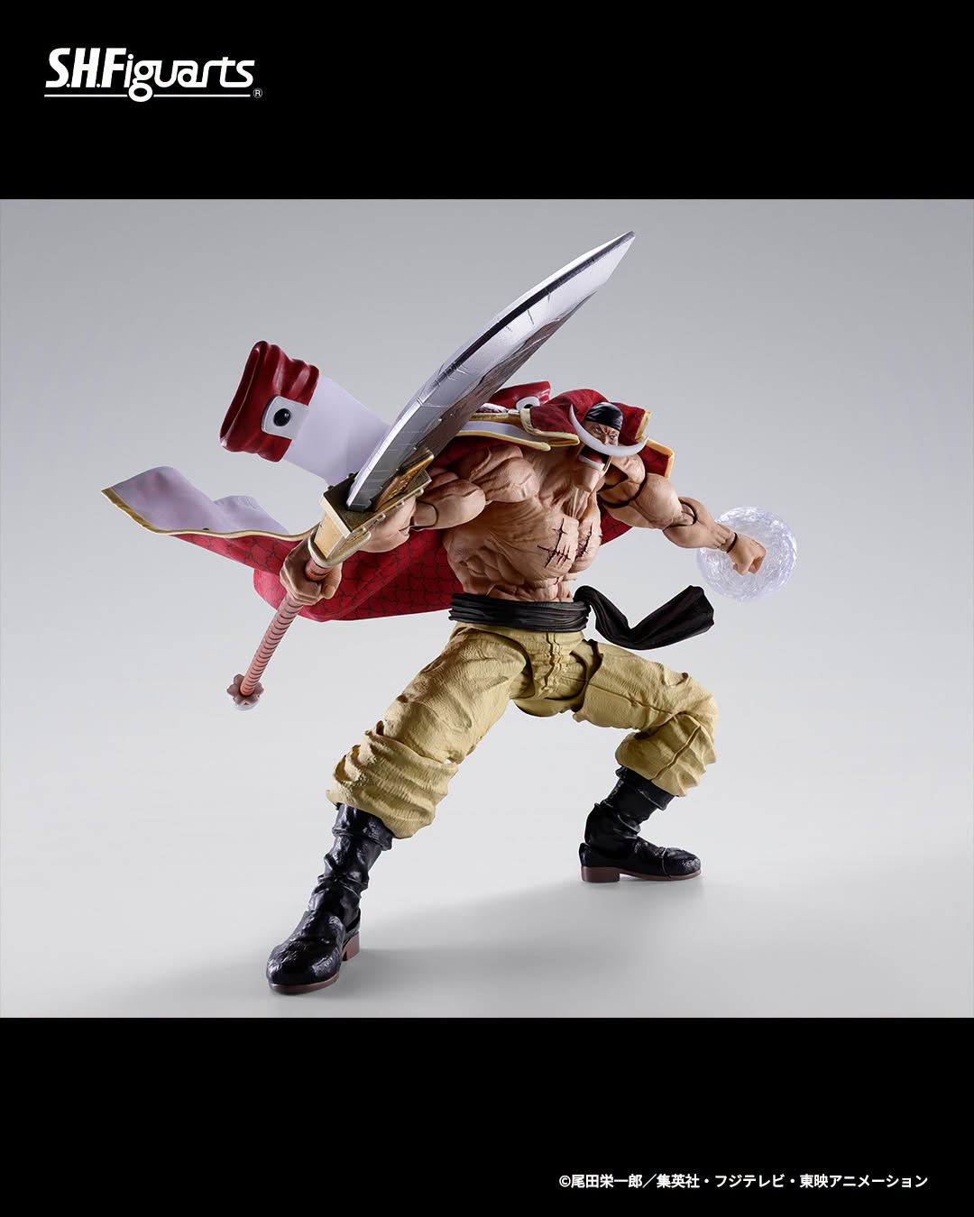 Tamashii Nations Web Exclusive - S.H.Figuarts - One Piece: EDWARD.NEWGATE -MARINEFORD- Pre-order Now