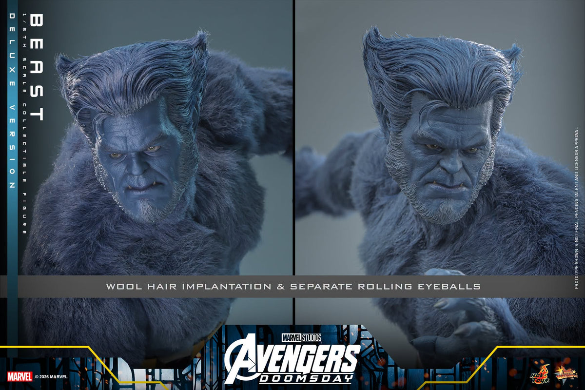 Hot Toys – MMS921 – Avengers: Doomsday: Beast (Deluxe Version) 1/6th scale Collectible Figure - Preorder Now