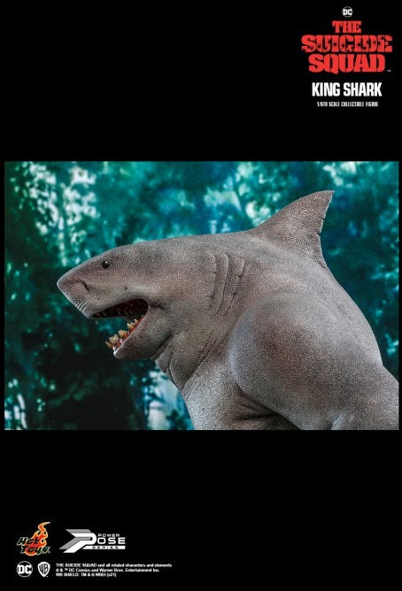 Hot Toys - PPS006 - The Suicide Squad - 1/6th Scale King Shark Collectibles Figure