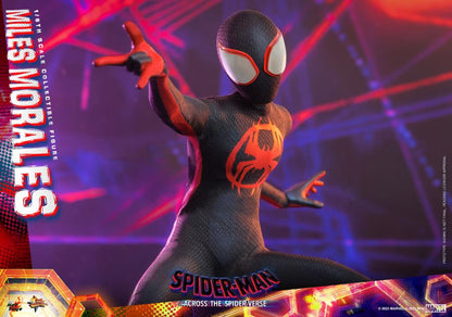 Hot Toys - MMS710 - Spider-Man: Across The Spider-Verse: Part One: Spider-Man (Miles Morales) 1/6 Scale Figure