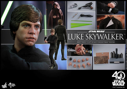 PRE-LOVED - Hot Toys - MMS429 - Star Wars 40th Anniversary: Luke Skywalker