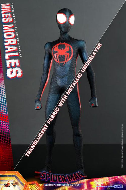 Hot Toys - MMS710 - Spider-Man: Across The Spider-Verse: Part One: Spider-Man (Miles Morales) 1/6 Scale Figure