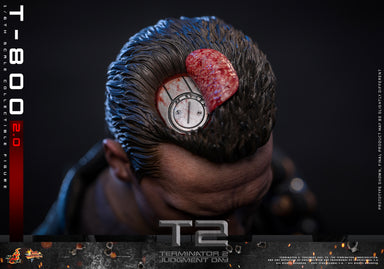 Hot Toys – MMS795 – Terminator 2: Judgment Day: T-800 (2.0) 1/6th