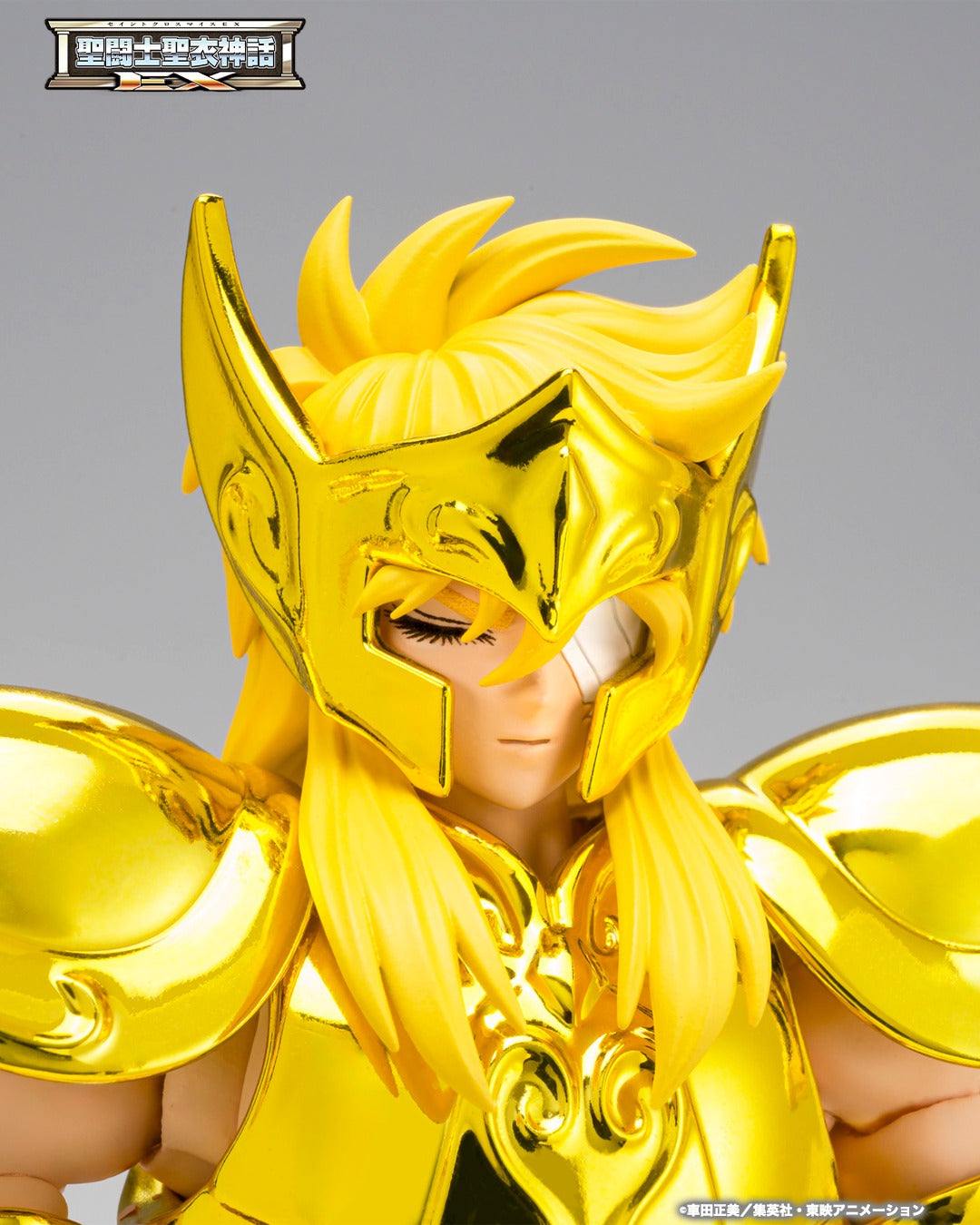 Tamashii Nations - Saint Cloth Myth EX: AQUARIUS HYOGA–INHERITOR OF THE GOLD CLOTH-