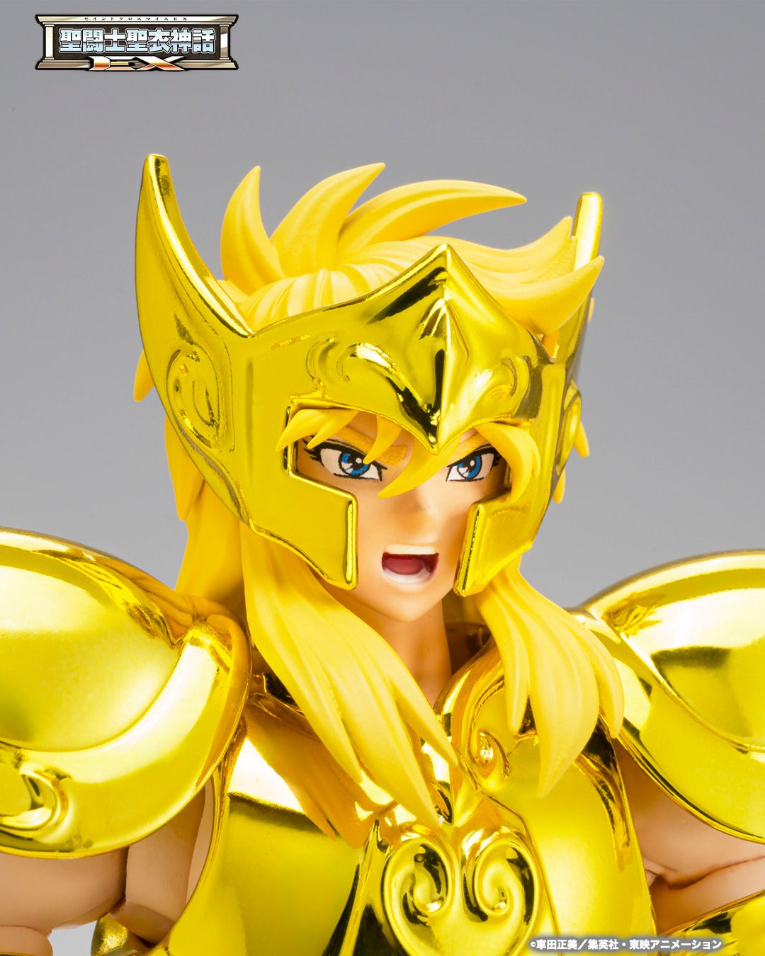 Tamashii Nations - Saint Cloth Myth EX: AQUARIUS HYOGA–INHERITOR OF THE GOLD CLOTH-