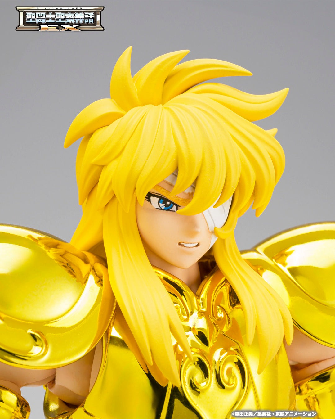 Tamashii Nations - Saint Cloth Myth EX: AQUARIUS HYOGA–INHERITOR OF THE GOLD CLOTH-