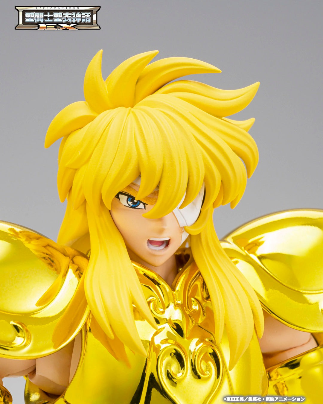 Tamashii Nations - Saint Cloth Myth EX: AQUARIUS HYOGA–INHERITOR OF THE GOLD CLOTH-