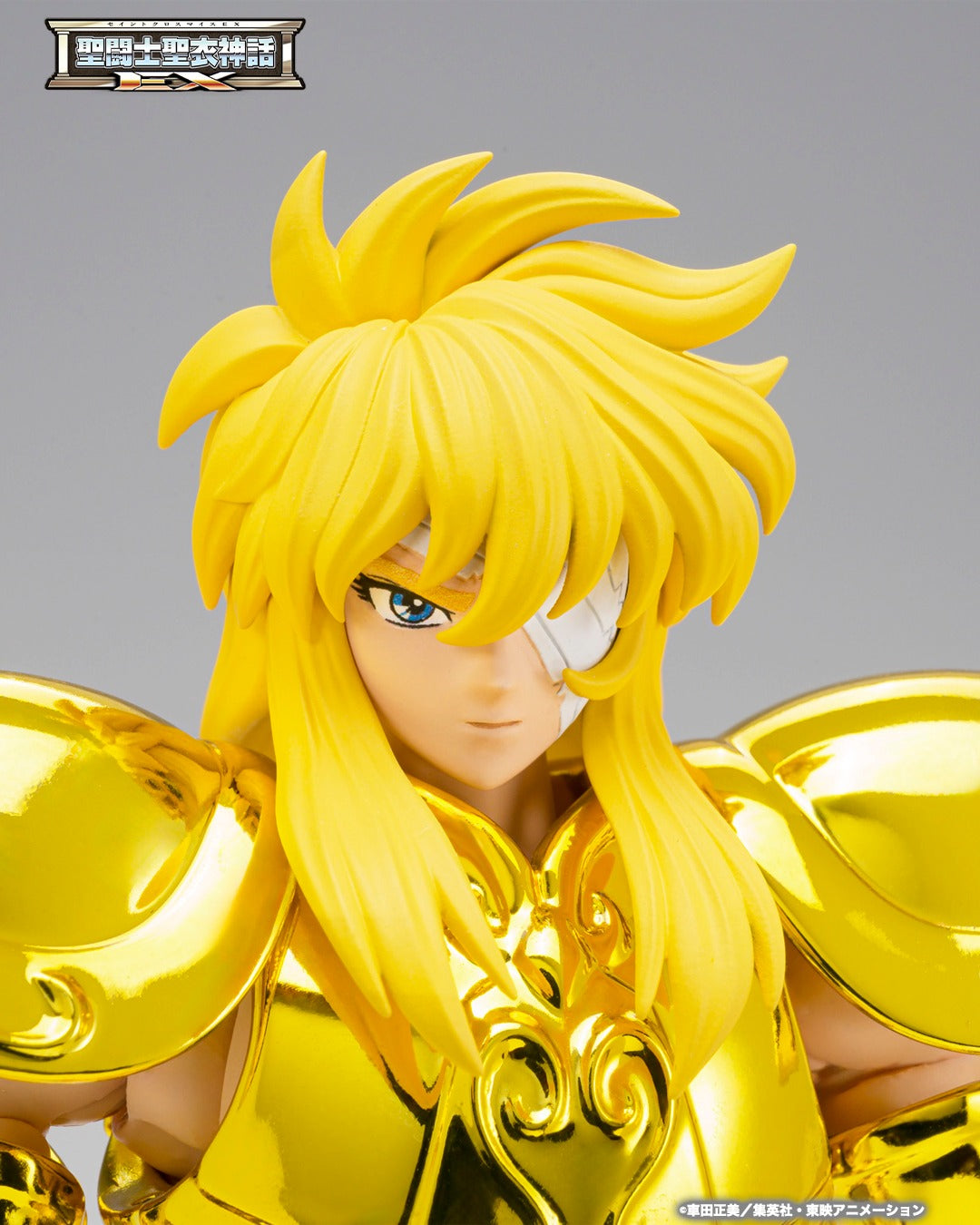 Tamashii Nations - Saint Cloth Myth EX: AQUARIUS HYOGA–INHERITOR OF THE GOLD CLOTH-