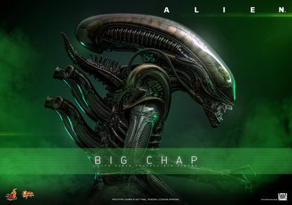 Hot Toys – MMS826 – Alien: Big Chap 1/6th scale Collectible Figure