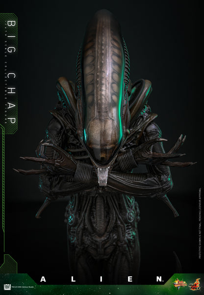 Hot Toys – MMS826 – Alien: Big Chap 1/6th scale Collectible Figure