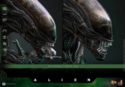 Hot Toys – MMS826 – Alien: Big Chap 1/6th scale Collectible Figure