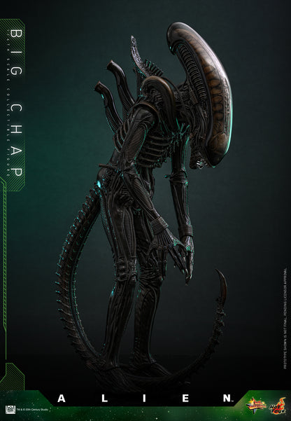 Hot Toys – MMS826 – Alien: Big Chap 1/6th scale Collectible Figure