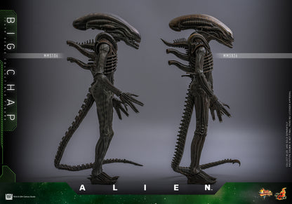Hot Toys – MMS826 – Alien: Big Chap 1/6th scale Collectible Figure