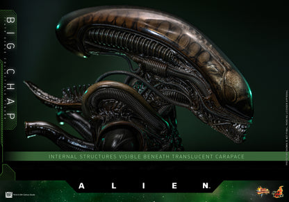 Hot Toys – MMS826 – Alien: Big Chap 1/6th scale Collectible Figure