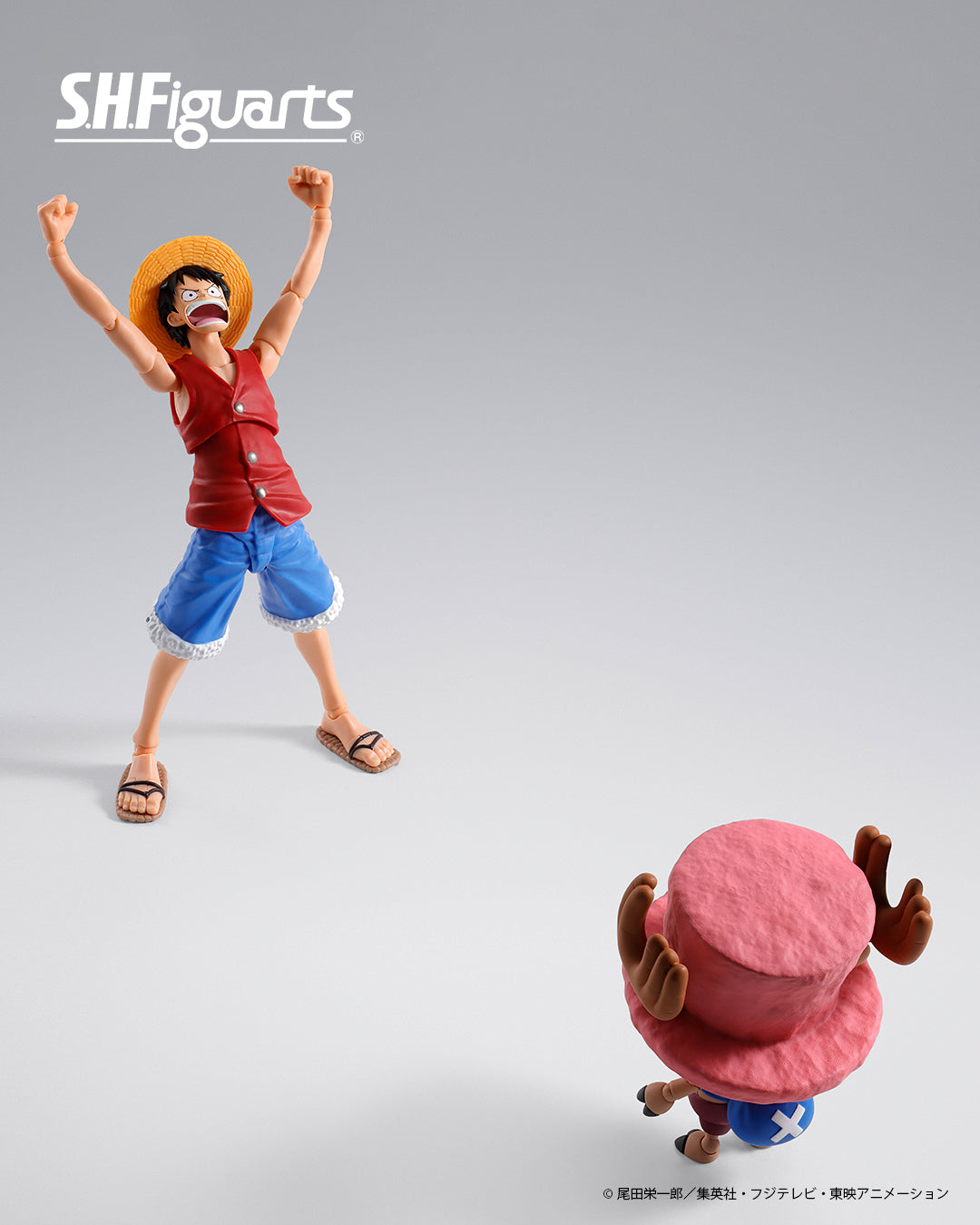 Tamashii Nations - S.H.Figuarts - One Piece: Tony Tony Chopper (Drum Island)