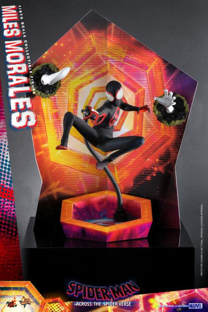 Hot Toys - MMS710 - Spider-Man: Across The Spider-Verse: Part One: Spider-Man (Miles Morales) 1/6 Scale Figure