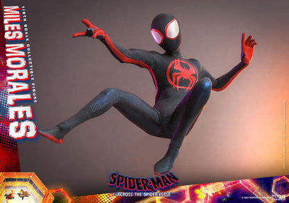 Hot Toys - MMS710 - Spider-Man: Across The Spider-Verse: Part One: Spider-Man (Miles Morales) 1/6 Scale Figure