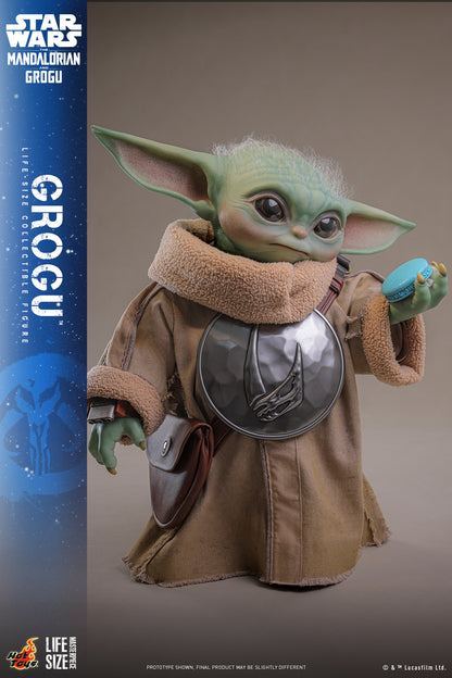 Hot Toys - LMS016 - Star Wars: The Mandalorian & Grogu™ - Grogu™ Life-Size Collectible Set Pre-order NOW