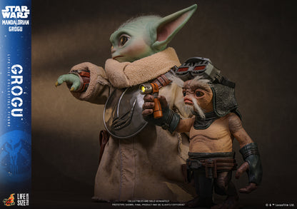 Hot Toys - LMS016 - Star Wars: The Mandalorian & Grogu™ - Grogu™ Life-Size Collectible Set Pre-order NOW
