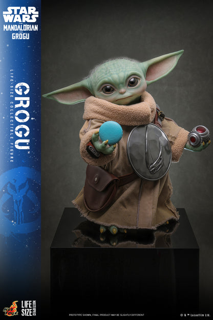 Hot Toys - LMS016 - Star Wars: The Mandalorian & Grogu™ - Grogu™ Life-Size Collectible Set Pre-order NOW