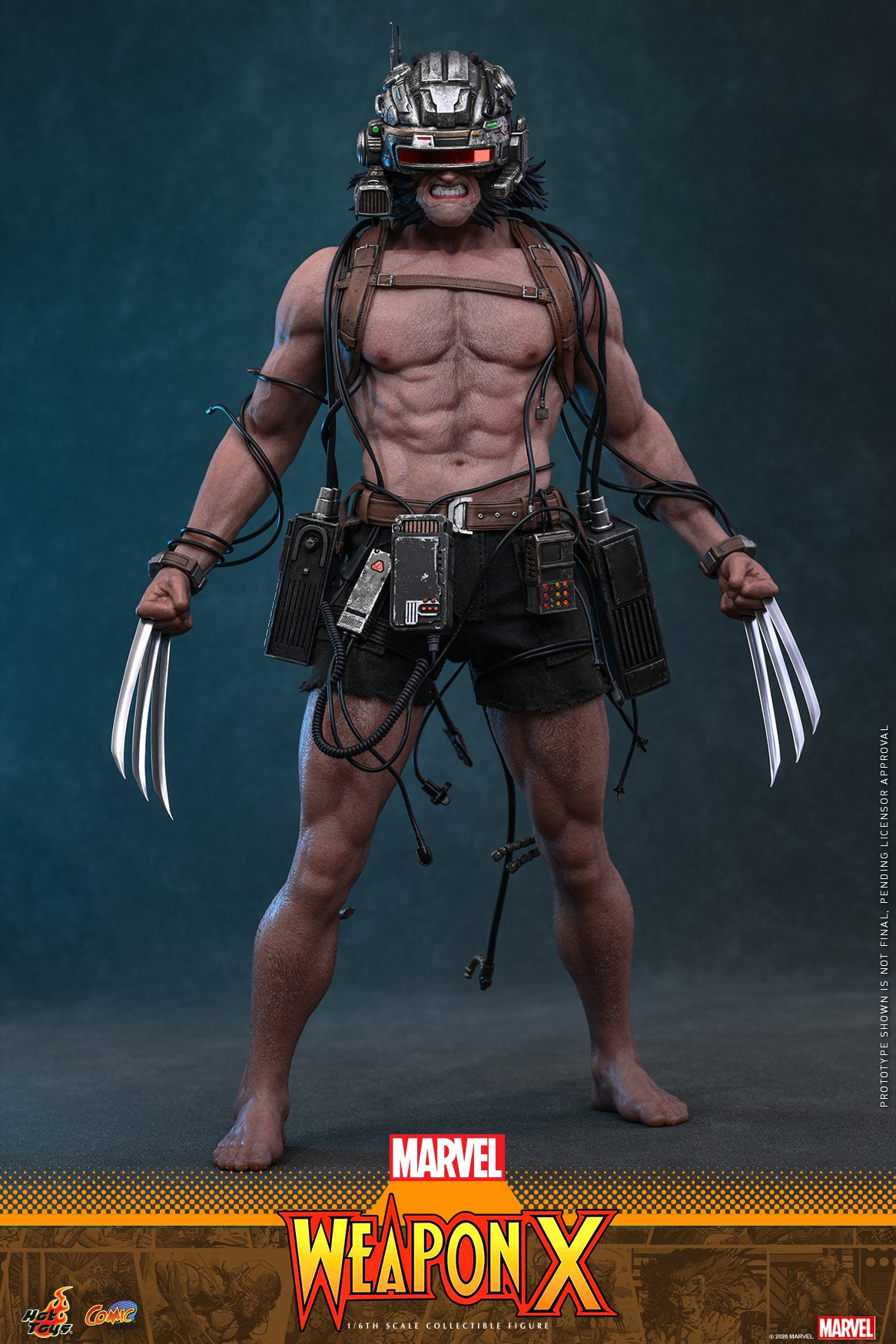 Hot Toys – CMS034 – Marvel Comics: Weapon X 1/6th scale Collectible Figure Pre-order Now!!!