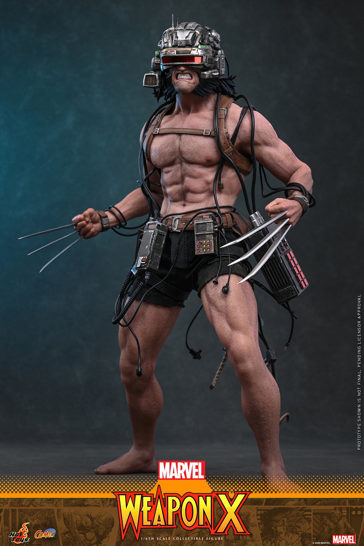 Hot Toys – CMS034 – Marvel Comics: Weapon X 1/6th scale Collectible Figure Pre-order Now!!!