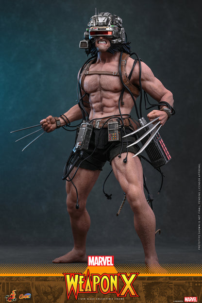 Hot Toys – CMS034 – Marvel Comics: Weapon X 1/6th scale Collectible Figure Pre-order Now!!!