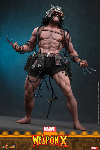 Hot Toys – CMS034 – Marvel Comics: Weapon X 1/6th scale Collectible Figure Pre-order Now!!!