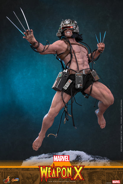 Hot Toys – CMS034 – Marvel Comics: Weapon X 1/6th scale Collectible Figure Pre-order Now!!!