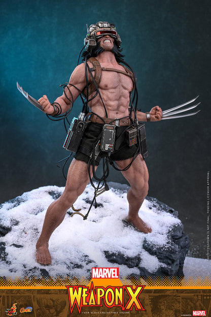Hot Toys – CMS034 – Marvel Comics: Weapon X 1/6th scale Collectible Figure Pre-order Now!!!