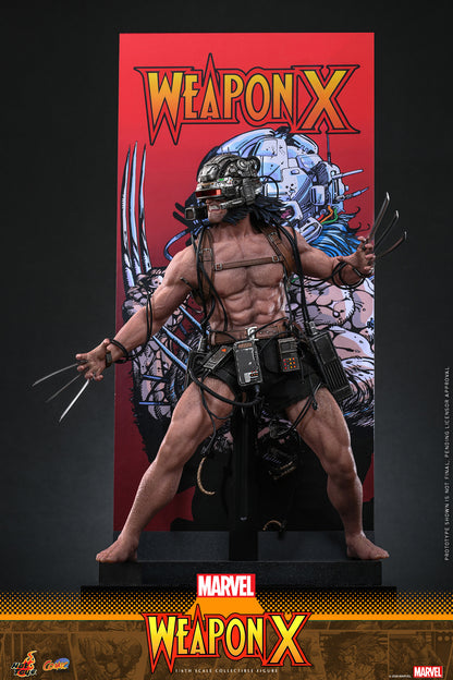 Hot Toys – CMS034 – Marvel Comics: Weapon X 1/6th scale Collectible Figure Pre-order Now!!!