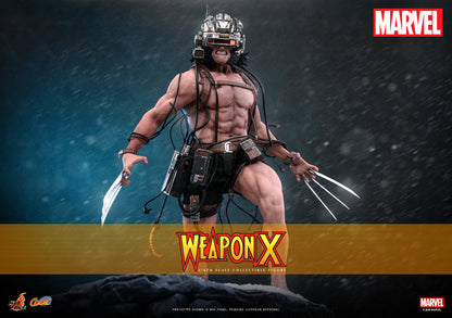 Hot Toys – CMS034 – Marvel Comics: Weapon X 1/6th scale Collectible Figure Pre-order Now!!!