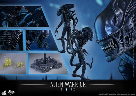PRE-LOVED - Hot Toys - MMS354 - Aliens: Alien Warrior