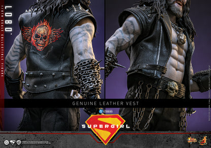 Hot Toys – MMS890 – Supergirl: Lobo 1/6th scale Collectible Figure - Preorder