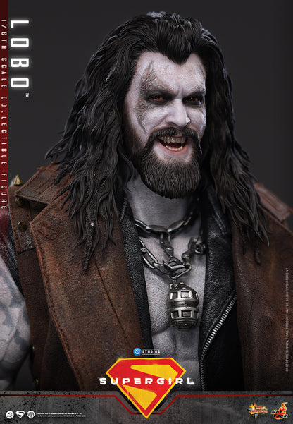 Hot Toys – MMS890 – Supergirl: Lobo 1/6th scale Collectible Figure - Preorder