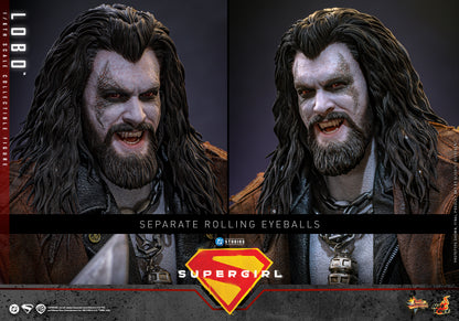 Hot Toys – MMS890 – Supergirl: Lobo 1/6th scale Collectible Figure - Preorder