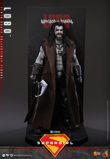 Hot Toys – MMS890 – Supergirl: Lobo 1/6th scale Collectible Figure - Preorder