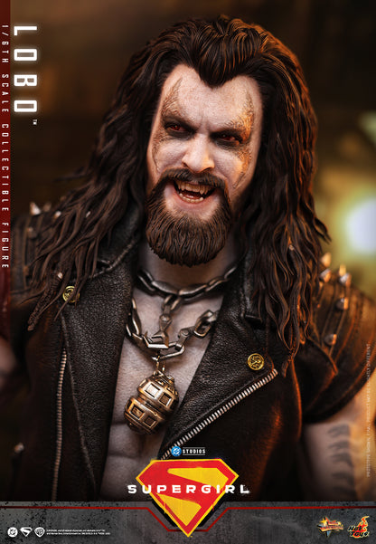 Hot Toys – MMS890 – Supergirl: Lobo 1/6th scale Collectible Figure - Preorder