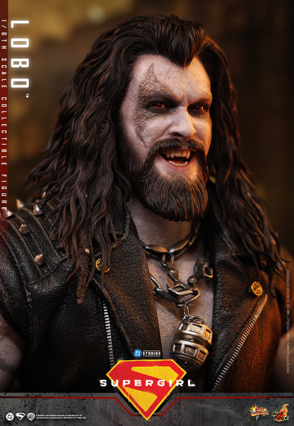 Hot Toys – MMS890 – Supergirl: Lobo 1/6th scale Collectible Figure - Preorder