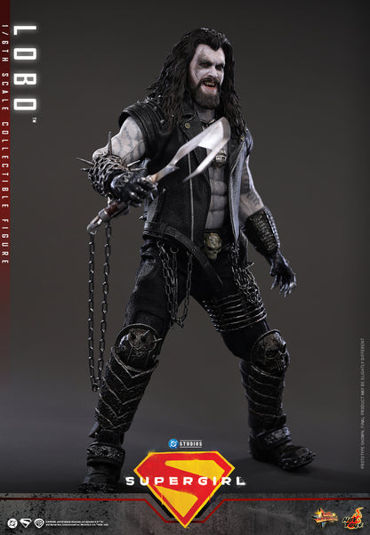Hot Toys – MMS890 – Supergirl: Lobo 1/6th scale Collectible Figure - Preorder