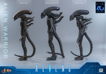 Hot Toys – MMS899 – Aliens: Alien Warrior (Deluxe Version) 1/6th scale Collectible Figure - Preorder Now