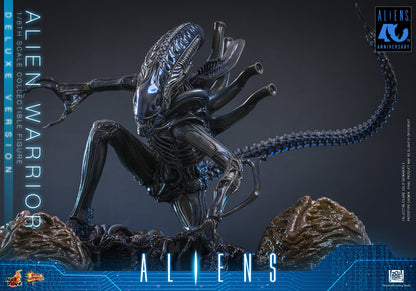 Hot Toys – MMS899 – Aliens: Alien Warrior (Deluxe Version) 1/6th scale Collectible Figure - Preorder Now