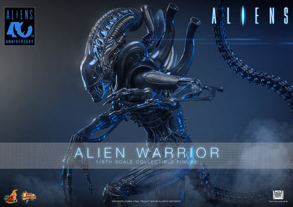 Hot Toys – MMS899 – Aliens: Alien Warrior (Deluxe Version) 1/6th scale Collectible Figure - Preorder Now
