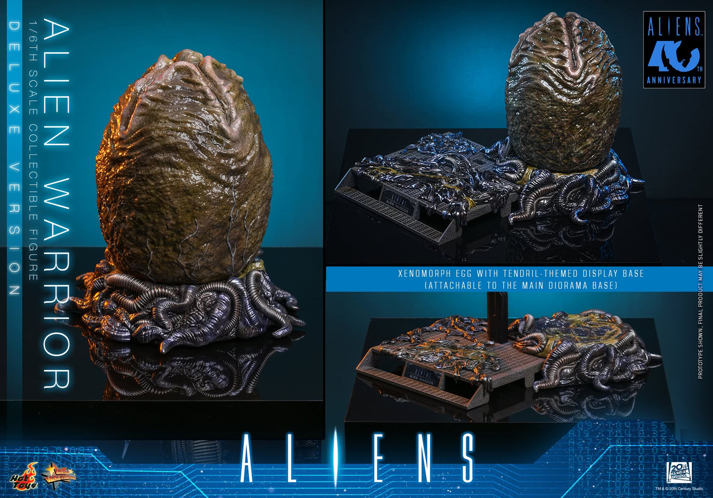 Hot Toys – MMS899 – Aliens: Alien Warrior (Deluxe Version) 1/6th scale Collectible Figure - Preorder Now