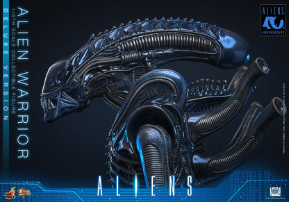 Hot Toys – MMS899 – Aliens: Alien Warrior (Deluxe Version) 1/6th scale Collectible Figure - Preorder Now