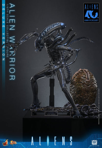 Hot Toys – MMS899 – Aliens: Alien Warrior (Deluxe Version) 1/6th scale Collectible Figure - Preorder Now