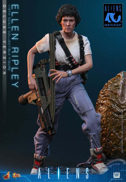 Hot Toys – MMS895 – Aliens: Ellen Ripley (Deluxe Version) 1/6th scale Collectible Figure - Preorder Now!!!