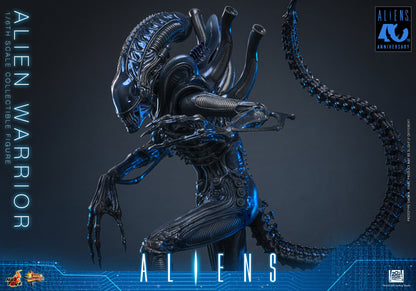 Hot Toys – MMS899 – Aliens: Alien Warrior (Deluxe Version) 1/6th scale Collectible Figure - Preorder Now