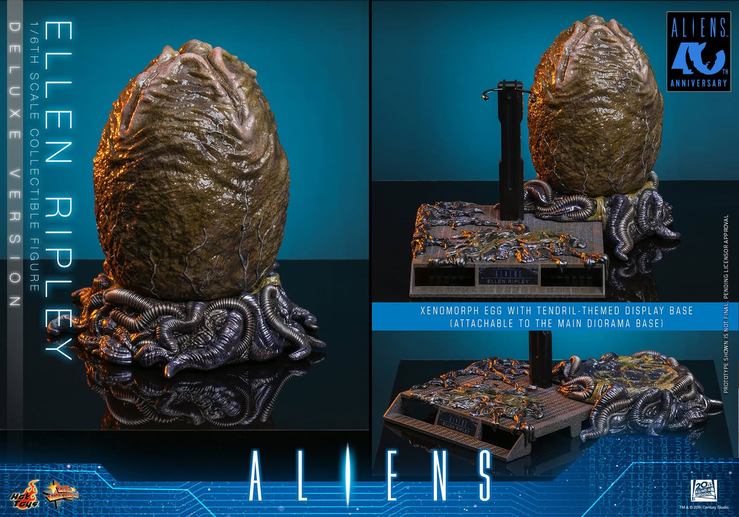 Hot Toys – MMS895 – Aliens: Ellen Ripley (Deluxe Version) 1/6th scale Collectible Figure - Preorder Now!!!